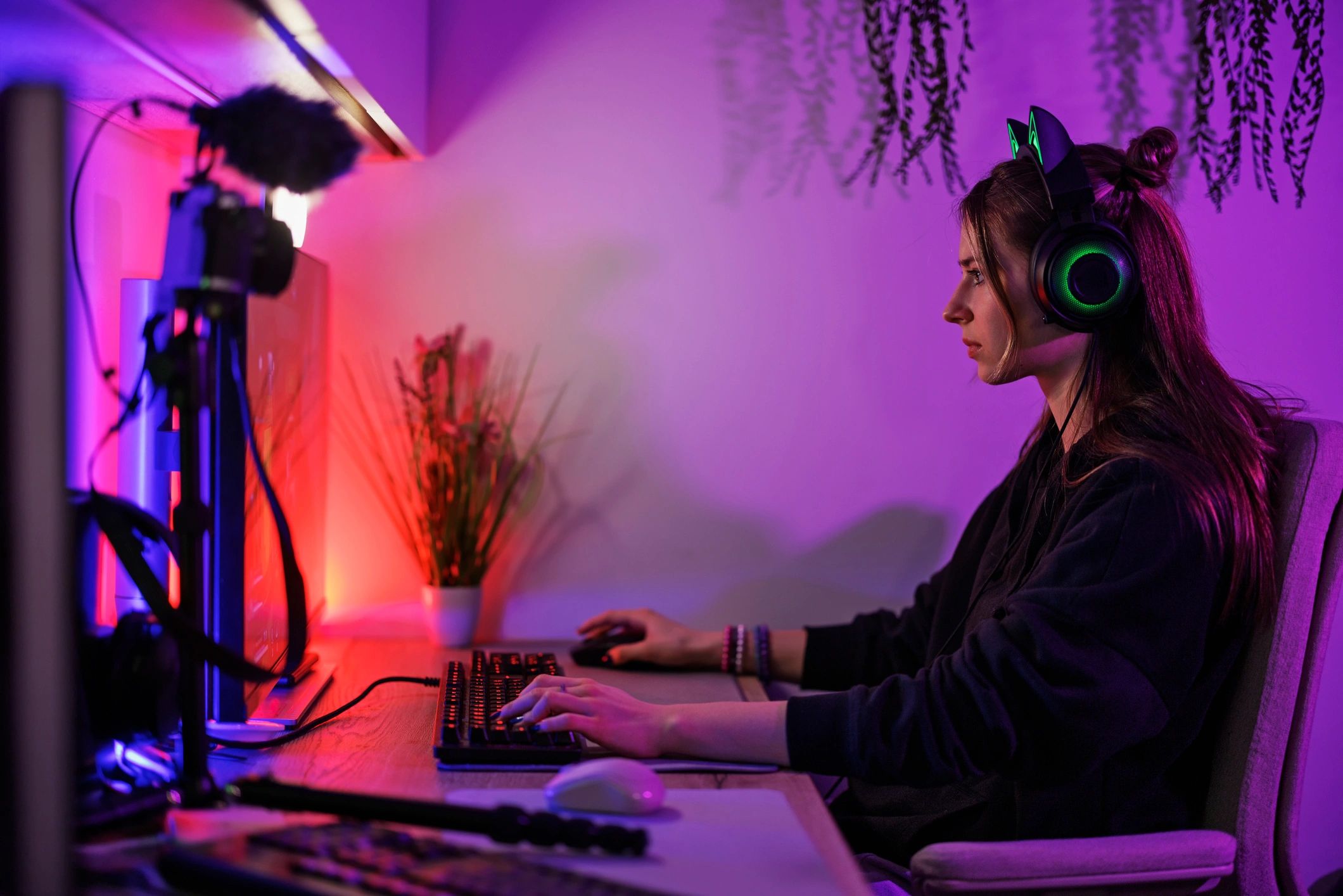 gaming community streaming light green purple